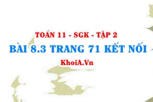 Bài 8.3 trang 71 Toán 11 Kết nối tri thức Tập 2